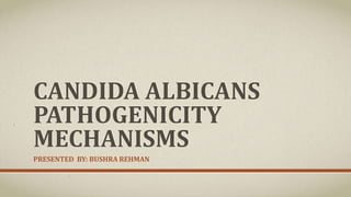 CANDIDA ALBICANS
PATHOGENICITY
MECHANISMS
PRESENTED BY: BUSHRA REHMAN
 