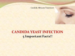 Candida Albicans Treatment




CANDIDA YEAST INFECTION
    5 Important Facts!!
 