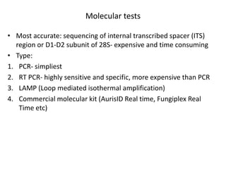 Molecular tests
• Most accurate: sequencing of internal transcribed spacer (ITS)
region or D1-D2 subunit of 28S- expensive and time consuming
• Type:
1. PCR- simpliest
2. RT PCR- highly sensitive and specific, more expensive than PCR
3. LAMP (Loop mediated isothermal amplification)
4. Commercial molecular kit (AurisID Real time, Fungiplex Real
Time etc)
 