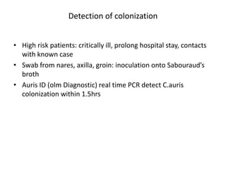 Detection of colonization
• High risk patients: critically ill, prolong hospital stay, contacts
with known case
• Swab from nares, axilla, groin: inoculation onto Sabouraud’s
broth
• Auris ID (olm Diagnostic) real time PCR detect C.auris
colonization within 1.5hrs
 