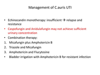 Management of C.auris UTI
• Echinocandin monotherapy: insufficient  relapse and
resistance
• Caspofungin and Anidulafungin may not achieve sufficient
urinary concentration
• Combination therapy:
1. Micafungin plus Amphotericin B
2. Triazole and Micafungin
3. Amphotericin and Flucytosine
• Bladder irrigation with Amphotericin B for resistant infection
 
