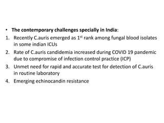 • The contemporary challenges specially in India:
1. Recently C.auris emerged as 1st rank among fungal blood isolates
in some indian ICUs
2. Rate of C.auris candidemia increased during COVID 19 pandemic
due to compromise of infection control practice (ICP)
3. Unmet need for rapid and accurate test for detection of C.auris
in routine laboratory
4. Emerging echinocandin resistance
 