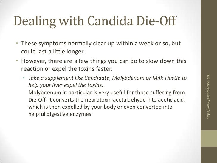 What Happens During Candida Dying Off