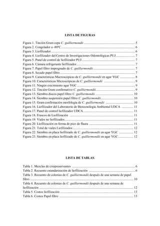 LISTA DE FIGURAS
Figura 1. Tinción Gram cepa C. guilliermondii ............................................................. 5
Figura 2. Congelador a -80ºC........................................................................................ 6
Figura 3. Liofilizador .................................................................................................... 6
Figura 4. Liofilizador del Centro de Investigaciones Odontológicas PUJ....................... 7
Figura 5. Panel de control de liofilizador PUJ ............................................................... 7
Figura 6. Cámara refrigerante liofilizador...................................................................... 7
Figura 7. Papel filtro impregnado de C. guilliermondii.................................................. 7
Figura 8. Secado papel filtro ......................................................................................... 7
Figura 9. Características Macroscópicas de C. guilliermondii en agar YGC .................. 8
Figura 10. Características Microscópicas de C. guilliermondii ..................................... 9
Figura 11. Ningún crecimiento agar YGC ..................................................................... 9
Figura 12. Tinción Gram confirmativo C. guilliermondii............................................... 9
Figura 13. Siembra discos papel filtro C. guilliermondii ............................................. 10
Figura 14. Siembra suspensión papel filtro C. guilliermondii....................................... 10
Figura 15. Gram confirmación morfología de C. guilliermondii ................................. 10
Figura 16. Liofilizador del Laboratorio de Biotecnología Ambiental UDCA .............. 11
Figura 17. Panel de control liofilizador UDCA............................................................ 11
Figura 18. Frascos de Liofilización ............................................................................ 11
Figura 19. Viales no liofilizados.................................................................................. 11
Figura 20. Liofilización en forma de pico de flauta ..................................................... 11
Figura 21. Total de viales Liofilizados ........................................................................ 12
Figura 22. Siembra en placa liofilizado de C. guilliermondii en agar YGC ................. 12
Figura 23. Siembra en placa liofilizado de C. guilliermondii en agar YGC.................. 12
LISTA DE TABLAS
Tabla 1. Mezclas de criopreservantes ........................................................................... 6
Tabla 2. Recuento estandarización de liofilización ....................................................... 6
Tabla 3. Recuento de colonias de C. guilliermondii después de una semana de papel
filtro............................................................................................................................ 10
Tabla 4. Recuento de colonias de C. guilliermondii después de una semana de
liofilización ................................................................................................................ 12
Tabla 5. Costos liofilización ....................................................................................... 13
Tabla 6. Costos Papel filtro ........................................................................................ 13
 