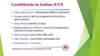 Candida in icu and diagnosis DR M.L. PRASHANTH MD IDCCM | PPTX