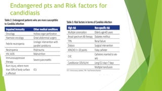 Candida in icu and diagnosis DR M.L. PRASHANTH MD IDCCM | PPTX