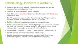 Candida in icu and diagnosis DR M.L. PRASHANTH MD IDCCM | PPTX