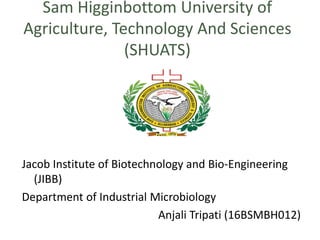 Sam Higginbottom University of
Agriculture, Technology And Sciences
(SHUATS)
Jacob Institute of Biotechnology and Bio-Engineering
(JIBB)
Department of Industrial Microbiology
Anjali Tripati (16BSMBH012)
 
