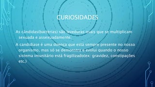 CURIOSIDADES
As cândidas(bactérias) são leveduras ovais que se multiplicam
sexuada e assexuadamente.
A candidíase é uma doença que está sempre presente no nosso
organismo, mas só se demonstra e evolui quando o nosso
sistema imunitário está fragilizado(ex: gravidez, constipações
etc.)
 