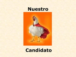 Nuestro Candidato 