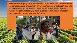 • Rescatar el campo y a sus pobladores. De acuerdo con López Obrador,
los campesinos se encuentran en “el abandono y la pobreza”, por ello
en su eventual gobierno dará prioridad a los pueblos indígenas.
“Desde las comunidades, ejidos y pueblos se fomentará al sector
agropecuario, pesquero y forestal”, dijo.
 