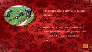 3.Poner al productor al centro de las políticas
públicas.
4.Instrumentos financieros, infraestructura y
tecnología para la agricultura, ganadería y pesca.
5. Seguridad social para trabajadores del
campo.
 