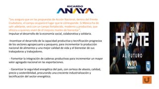 “Les aseguro que en las propuestas de Acción Nacional, dentro del Frente
Ciudadano, el campo ocupará el lugar que le corresponde. Si México ha de
salir adelante, será con un campo fortalecido, moderno y productivo, que
ofrezca a quienes viven de él mejores niveles de bienestar”,
Impulsar el desarrollo de la economía social, colaborativa y solidaria.
-Incentivar el desarrollo de la capacidad productiva y tecnificación progresiva
de los sectores agropecuario y pesquero, para incrementar la producción
nacional de alimentos y una mejor calidad de vida y el bienestar de sus
trabajadoras y trabajadores.
- Fomentar la integración de cadenas productivas para incrementar un mayor
valor agregado nacional en las exportaciones.
- Garantizar la seguridad energética del país, con certeza de abasto, calidad,
precio y sostenibilidad, procurando una creciente industrialización y
tecnificación del sector energético.
 