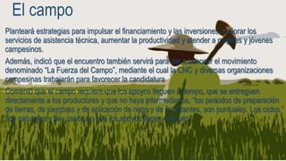 El campo
Planteará estrategias para impulsar el financiamiento y las inversiones, mejorar los
servicios de asistencia técnica, aumentar la productividad y atender a mujeres y jóvenes
campesinos.
Además, indicó que el encuentro también servirá para dar a conocer el movimiento
denominado “La Fuerza del Campo”, mediante el cual la CNC y diversas organizaciones
campesinas trabajarán para favorecer la candidatura
Comentó que el campo requiere que los apoyos lleguen a tiempo, que se entreguen
directamente a los productores y que no haya intermediarios, “los periodos de preparación
de tierras, de siembras y de aplicación de riego y de fertilizantes, son puntuales. Los ciclos
son naturales y hay casos en que los apoyos llegan después”.
 