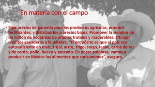 En materia con el campo
• Fijar precios de garantía para los productos agrícolas, producir
fertilizantes, y distribuirlos a precios bajos. Promover la siembra de
un millón de hectáreas de árboles frutales y maderables. Otorgar
créditos ganaderos a la palabra. “El propósito es que el país sea
autosuficiente en maíz, frijol, arroz, trigo, sorgo, leche, carne de res
y de cerdo, pollo, huevo y pescado. En pocas palabras, vamos a
producir en México los alimentos que consumimos”, aseguró.
 
