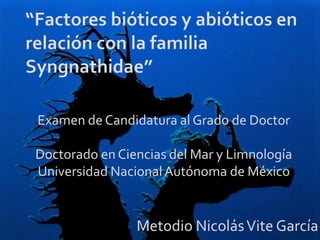 Examen de Candidatura al Grado de Doctor
Doctorado en Ciencias del Mar y Limnología
Universidad Nacional Autónoma de México

Metodio Nicolás Vite García

 