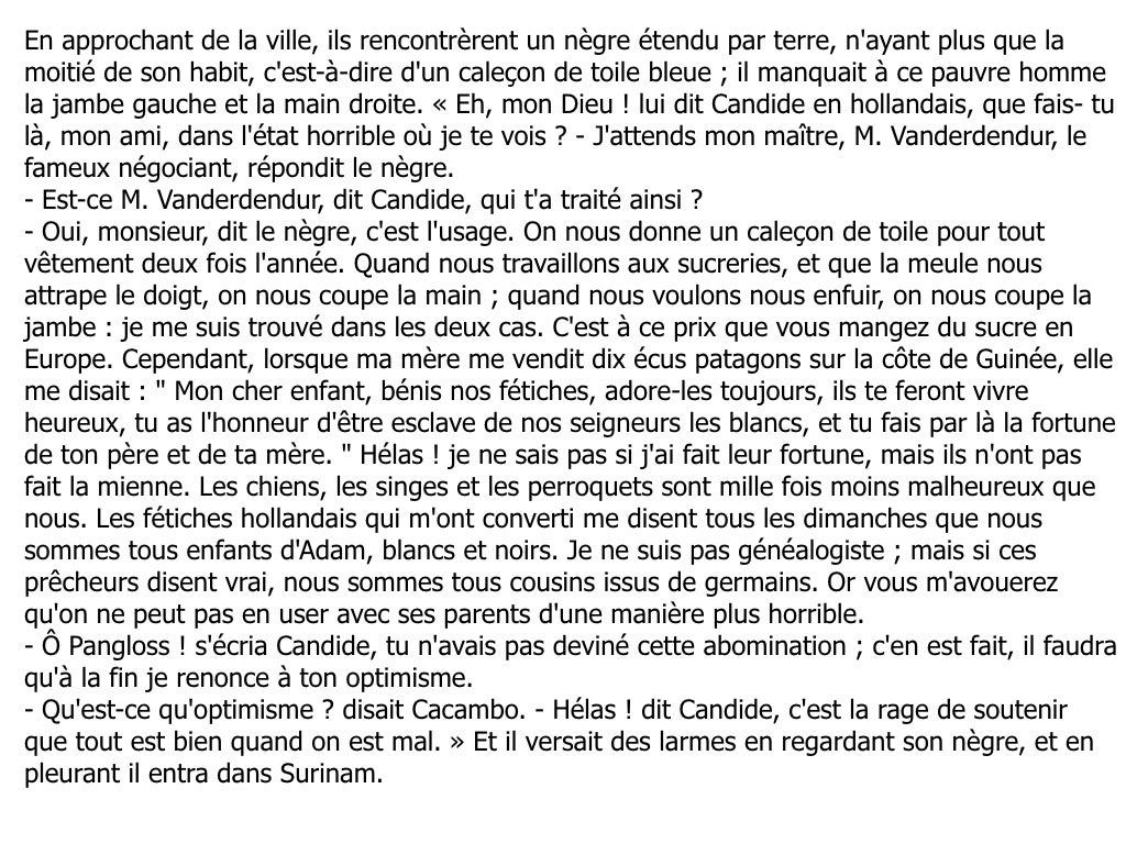 VOltaire, CANDIDE : chapitre 19 - Surinam