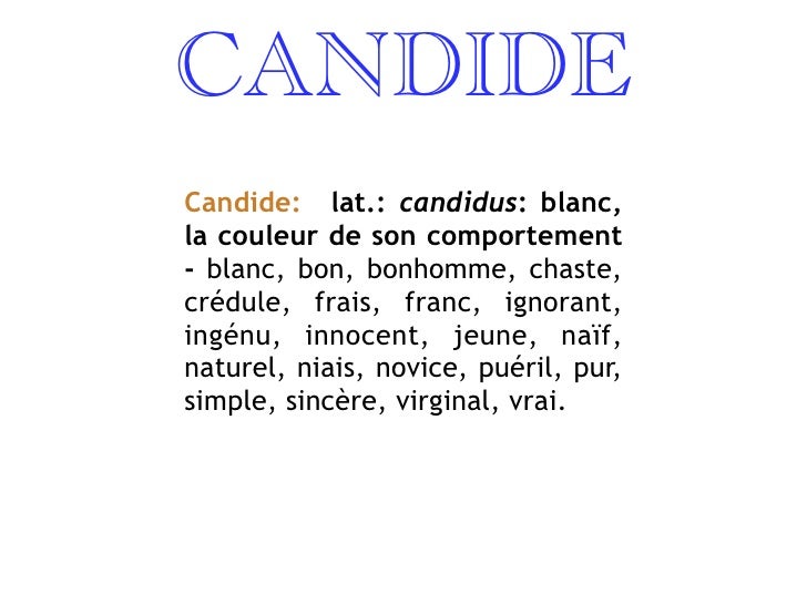 Resume de candide voltaire