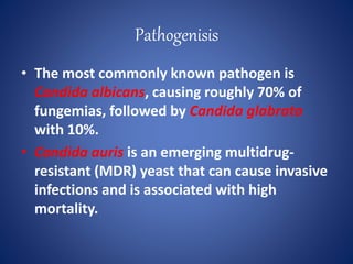 Candidemia | PPTX