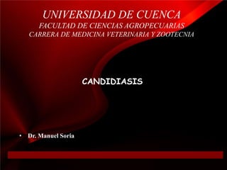 UNIVERSIDAD DE CUENCA
      FACULTAD DE CIENCIAS AGROPECUARIAS
   CARRERA DE MEDICINA VETERINARIA Y ZOOTECNIA




                     CANDIDIASIS




• Dr. Manuel Soria
 