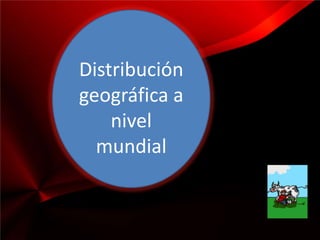 Distribución
geográfica a
    nivel
  mundial
 