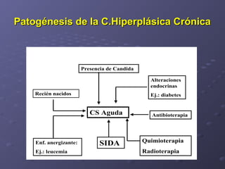 Patogénesis de la C.Hiperplásica Crónica



                        Presencia de Candida

                                                 Alteraciones
                                                 endocrinas
    Recién nacidos                               Ej.: diabetes


                           CS Aguda               Antibioterapia




    Enf. anergizante:          SIDA            Quimioterapia
    Ej.: leucemia                              Radioterapia
 