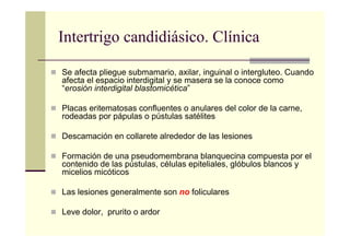 Intertrigo candidiásico. Clínica
Se afecta pliegue submamario, axilar, inguinal o intergluteo. Cuando
afecta el espacio interdigital y se masera se la conoce como
“erosión interdigital blastomicética”
Placas eritematosas confluentes o anulares del color de la carne,
rodeadas por pápulas o pústulas satélites
Descamación en collarete alrededor de las lesiones
Formación de una pseudomembrana blanquecina compuesta por el
contenido de las pústulas, células epiteliales, glóbulos blancos y
micelios micóticos
Las lesiones generalmente son no foliculares
Leve dolor, prurito o ardor
 