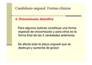 Candidiasis ungueal. Formas clínicas
4. Onicomicosis distrófica
Para algunos autores constituye una forma
especial de onicomicosis y para otros es la
forma final de las 3 variedades anteriores.
Se afecta toda la placa ungueal que se
destruye y aumenta de grosor
 
