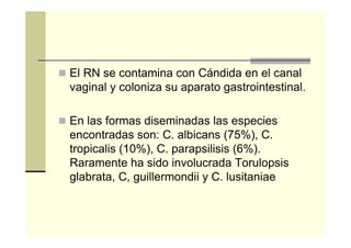 El RN se contamina con Cándida en el canal
vaginal y coloniza su aparato gastrointestinal.
En las formas diseminadas las especies
encontradas son: C. albicans (75%), C.
tropicalis (10%), C. parapsilisis (6%).
Raramente ha sido involucrada Torulopsis
glabrata, C, guillermondii y C. lusitaniae
 