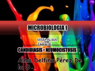 MICROBIOLOGIA I 
MSM.ALMA 
ZARATE 
CANDIDIASIS • NEUMOCISTOSIS 
Alma Delfina Pérez De 
la O 
 