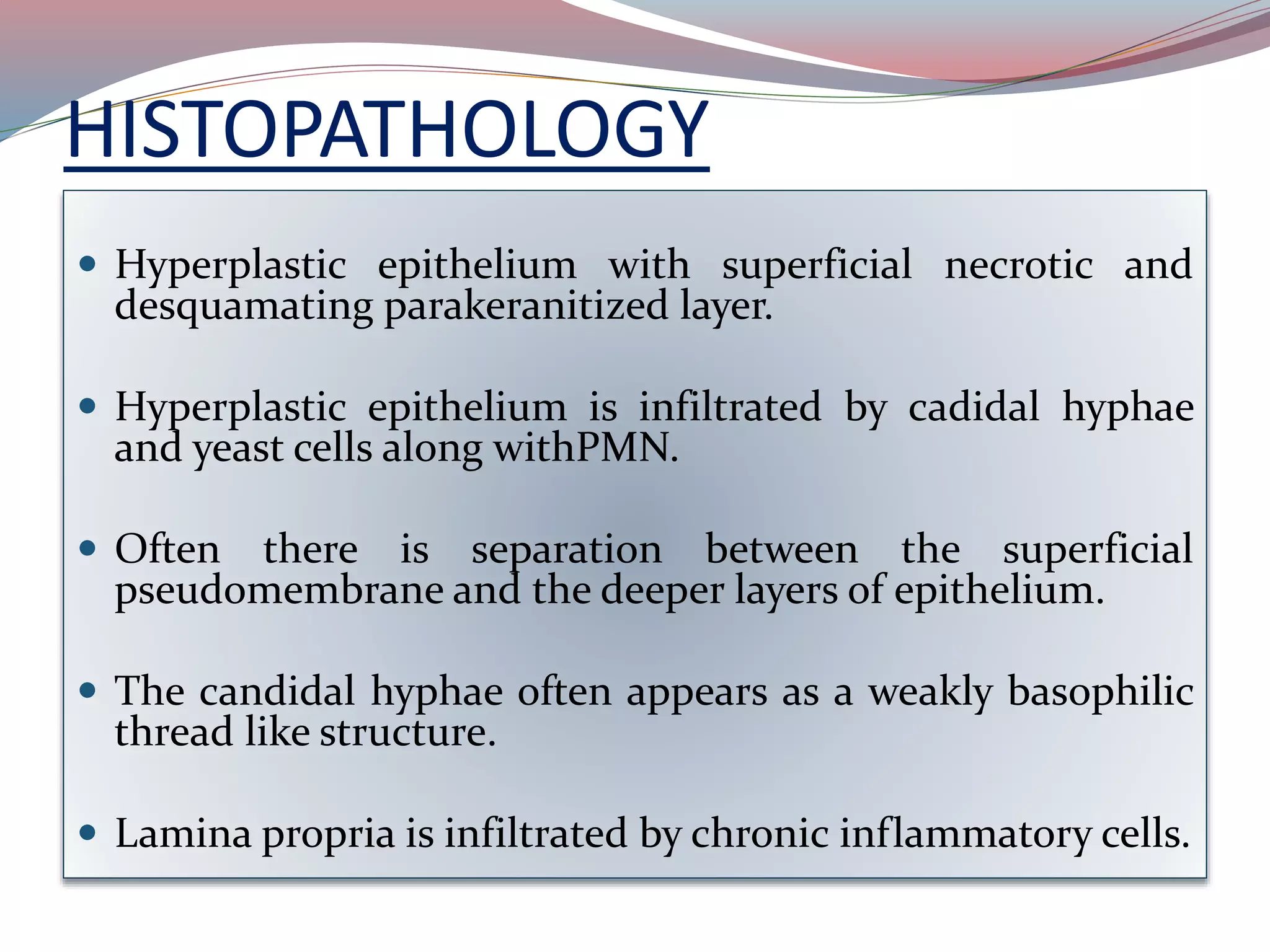 HISTOPATHOLOGY
 Hyperplastic epithelium with superficial necrotic and
desquamating parakeranitized layer.
 Hyperplastic epithelium is infiltrated by cadidal hyphae
and yeast cells along withPMN.
 Often there is separation between the superficial
pseudomembrane and the deeper layers of epithelium.
 The candidal hyphae often appears as a weakly basophilic
thread like structure.
 Lamina propria is infiltrated by chronic inflammatory cells.
 