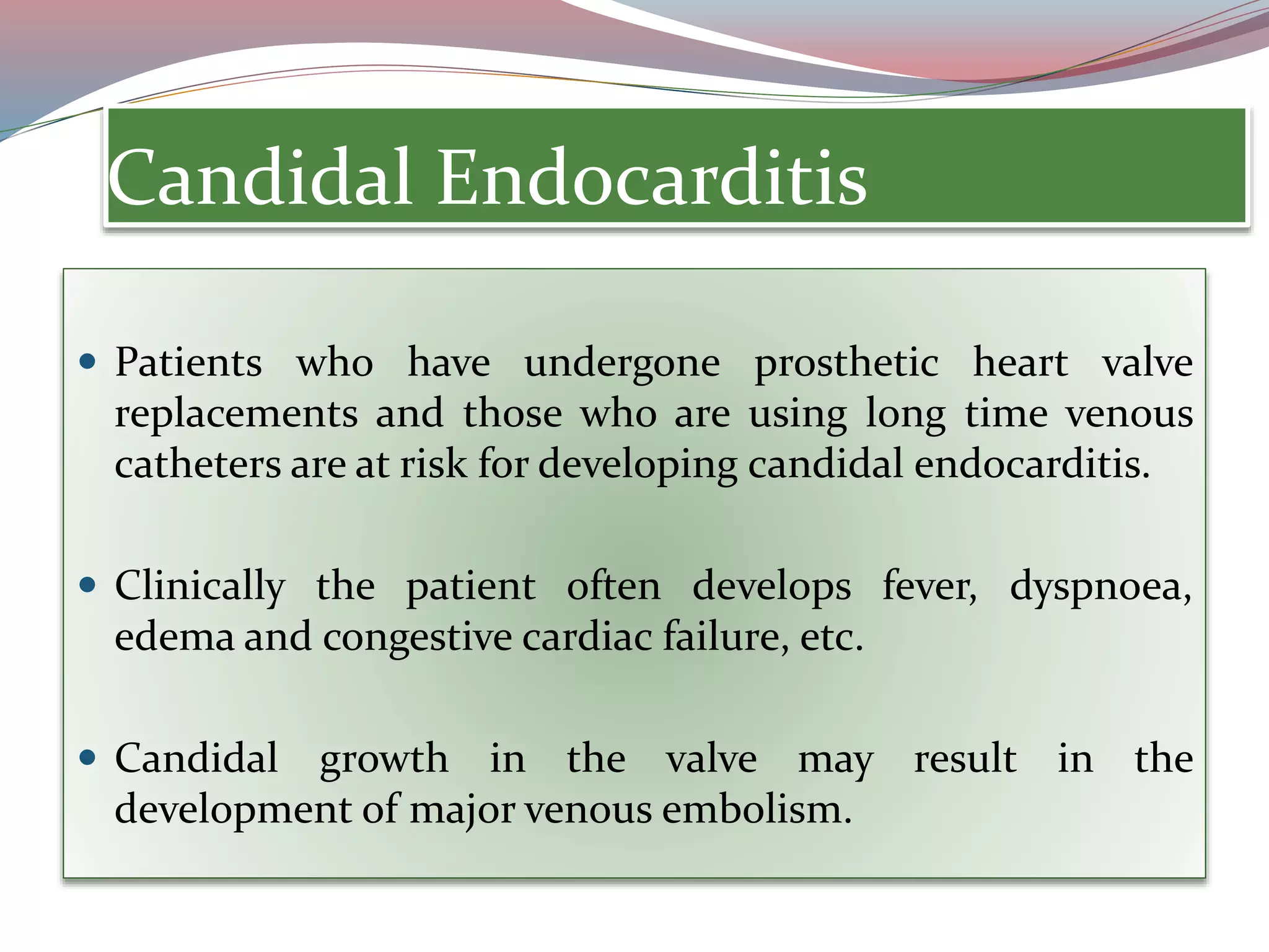 Candidal Endocarditis
 Patients who have undergone prosthetic heart valve
replacements and those who are using long time venous
catheters are at risk for developing candidal endocarditis.
 Clinically the patient often develops fever, dyspnoea,
edema and congestive cardiac failure, etc.
 Candidal growth in the valve may result in the
development of major venous embolism.
 