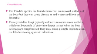 CANDIDIASIS-DIFFERENT SPECIES OF CANDIDA AND ITS INFECTION | PPTX