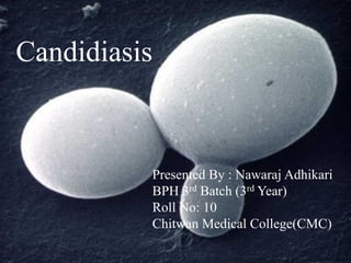 Candidiasis
Presented By : Nawaraj Adhikari
BPH 3rd Batch (3rd Year)
Roll No: 10
Chitwan Medical College(CMC)
Candidiasis
 