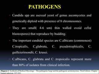 PATHOGENS
 Candida spp are asexual yeast of genus ascomycetes and
genetically diploid with presence of 8 chromosomes.
 They are small( 4-6 um) thin walled ovoid cells(
blastospores) that reproduce by budding.
 The important candidal species are C.albicans (commonest)
C.tropicalis, C.glabrata, C. pseudotrophicalis, C.
guilleierimondii, C. krusei.
 C.albicans, C. glabrata and C .tropoicalis represent more
than 80% of isolates from clinical infection.
Rippon J. Textbook of Medical Mycology – The pathogenic fungi and the pathogenic actinomycetes, Third Edition. Chapter
fungal infection. 237-252.
 