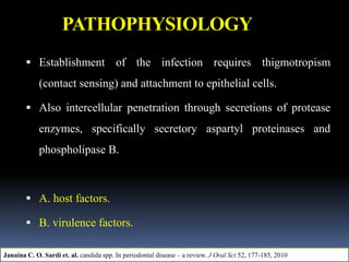 PATHOPHYSIOLOGY
 Establishment of the infection requires thigmotropism
(contact sensing) and attachment to epithelial cells.
 Also intercellular penetration through secretions of protease
enzymes, specifically secretory aspartyl proteinases and
phospholipase B.
 A. host factors.
 B. virulence factors.
Janaina C. O. Sardi et. al. candida spp. In periodontal disease – a review. J Oral Sci 52, 177-185, 2010
 