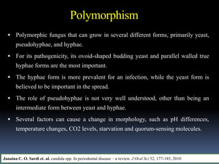 Polymorphism
 Polymorphic fungus that can grow in several different forms, primarily yeast,
pseudohyphae, and hyphae.
 For its pathogenicity, its ovoid-shaped budding yeast and parallel walled true
hyphae forms are the most important.
 The hyphae form is more prevalent for an infection, while the yeast form is
believed to be important in the spread.
 The role of pseudohyphae is not very well understood, other than being an
intermediate form between yeast and hyphae.
 Several factors can cause a change in morphology, such as pH differences,
temperature changes, CO2 levels, starvation and quorum-sensing molecules.
Janaina C. O. Sardi et. al. candida spp. In periodontal disease – a review. J Oral Sci 52, 177-185, 2010
 