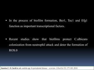  In the process of biofilm formation, Bcr1, Tec1 and Efg1
function as important transcriptional factors.
 Recent studies show that biofilms protect C.albicans
colonization from neutrophil attack and deter the formation of
ROS.0
Janaina C. O. Sardi et. al. candida spp. In periodontal disease – a review. J Oral Sci 52, 177-185, 2010
 