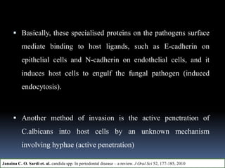  Basically, these specialised proteins on the pathogens surface
mediate binding to host ligands, such as E-cadherin on
epithelial cells and N-cadherin on endothelial cells, and it
induces host cells to engulf the fungal pathogen (induced
endocytosis).
 Another method of invasion is the active penetration of
C.albicans into host cells by an unknown mechanism
involving hyphae (active penetration)
Janaina C. O. Sardi et. al. candida spp. In periodontal disease – a review. J Oral Sci 52, 177-185, 2010
 
