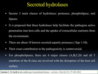 Secreted hydrolases
 Secrete 3 main classes of hydrolases: proteases, phospholipase, and
lipases.
 It is proposed that these hydrolases help facilitate the pathogens active
penetration into host cells and the uptake of extracellular nutrients from
the enviornment.
 There are about 10 known secreted aspartic proteases ( Sap 1-10).
 Their exact contribution to the pathogenicity is controversial.
 For phospholipases, there are 4 major classes (A,B,C,D) and all 5
members of the B class are involved with the disruption of the host cell
surface.
Janaina C. O. Sardi et. al. candida spp. In periodontal disease – a review. J Oral Sci 52, 177-185, 2010
 