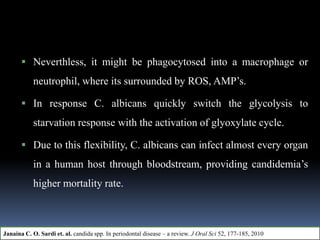  Neverthless, it might be phagocytosed into a macrophage or
neutrophil, where its surrounded by ROS, AMP’s.
 In response C. albicans quickly switch the glycolysis to
starvation response with the activation of glyoxylate cycle.
 Due to this flexibility, C. albicans can infect almost every organ
in a human host through bloodstream, providing candidemia’s
higher mortality rate.
Janaina C. O. Sardi et. al. candida spp. In periodontal disease – a review. J Oral Sci 52, 177-185, 2010
 