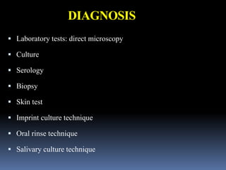 DIAGNOSIS
 Laboratory tests: direct microscopy
 Culture
 Serology
 Biopsy
 Skin test
 Imprint culture technique
 Oral rinse technique
 Salivary culture technique
 