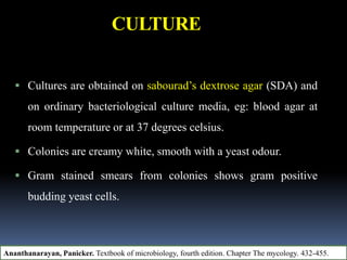 CULTURE
 Cultures are obtained on sabourad’s dextrose agar (SDA) and
on ordinary bacteriological culture media, eg: blood agar at
room temperature or at 37 degrees celsius.
 Colonies are creamy white, smooth with a yeast odour.
 Gram stained smears from colonies shows gram positive
budding yeast cells.
Ananthanarayan, Panicker. Textbook of microbiology, fourth edition. Chapter The mycology. 432-455.
 
