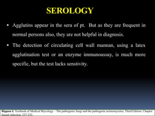 SEROLOGY
 Agglutins appear in the sera of pt. But as they are frequent in
normal persons also, they are not helpful in diagnosis.
 The detection of circulating cell wall mannan, using a latex
agglutination test or an enzyme immunoassay, is much more
specific, but the test lacks senstivity.
Rippon J. Textbook of Medical Mycology – The pathogenic fungi and the pathogenic actinomycetes, Third Edition. Chapter
fungal infection. 237-252.
 