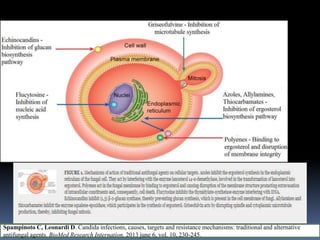 Spampinoto C, Leonardi D. Candida infections, causes, targets and resistance mechanisms: traditional and alternative
antifungal agents. BioMed Research Internation, 2013 june 6, vol. 10, 230-245.
 