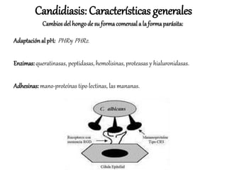 Adaptaciónal pH: PHR1y PHR2.
Enzimas: queratinasas, peptidasas, hemolisinas, proteasas y hialuronidasas.
Adhesinas: mano-proteínas tipo lectinas, las mananas.
Candidiasis: Características generales
Cambios del hongode su formacomensal a la formaparásita:
 