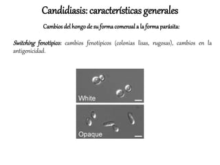 Switching fenotípico: cambios fenotípicos (colonias lisas, rugosas), cambios en la
antigenicidad.
Candidiasis: características generales
Cambios del hongode su formacomensal a la formaparásita:
 