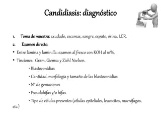 1. Tomade muestra: exudado, escamas, sangre, esputo, orina, LCR.
2. Examen directo:
• Entre lámina y laminilla: examen al fresco con KOH al 10%.
• Tinciones: Gram, Giemsa y Ziehl Neelsen.
• Blastoconidias
• Cantidad, morfología y tamaño de las blastoconidias
• N° de gemaciones
• Pseudohifas y/o hifas
• Tipo de células presentes (células epiteliales, leucocitos, macrófagos,
etc.)
Candidiasis: diagnóstico
 