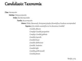 Candidiasis: Taxonomía
Clase: Ascomycetes
Subclase: Hemyascomycetes
Orden: Saccharomycetales
Familia: Saccaromycetes
Género: Pichia, Hansenula, Arxiozyma (estados teleomórficos, levaduras ascorporadas)
Especies: (a los estados anamórficos se les denomina Candida)
Candida albicans
Complejo Candida parapsilosis
Complejo Candida glabrata
Candida tropicalis
Candida krusei
Candida dubliniensis
Candida lusitaniae
Candida kefyr
Candida guilliermondii
Candida famata
Bonifaz, 2014
 