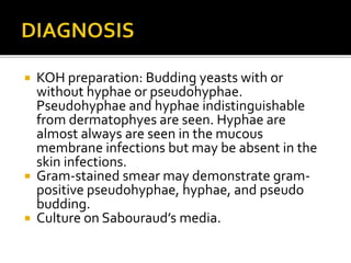 KOH preparation: Budding yeasts with or
without hyphae or pseudohyphae.
Pseudohyphae and hyphae indistinguishable
from dermatophyes are seen. Hyphae are
almost always are seen in the mucous
membrane infections but may be absent in the
skin infections.
 Gram-stained smear may demonstrate gram-
positive pseudohyphae, hyphae, and pseudo
budding.
 Culture on Sabouraud’s media.
 